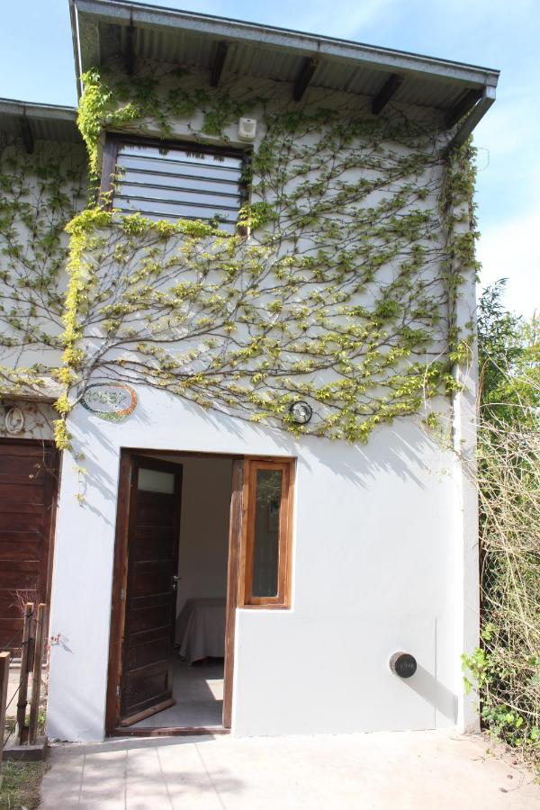 Casita Moderna Frente Al Bosque Apartment Mar del Plata