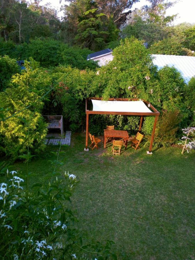 Casita Moderna Frente Al Bosque Apartment *